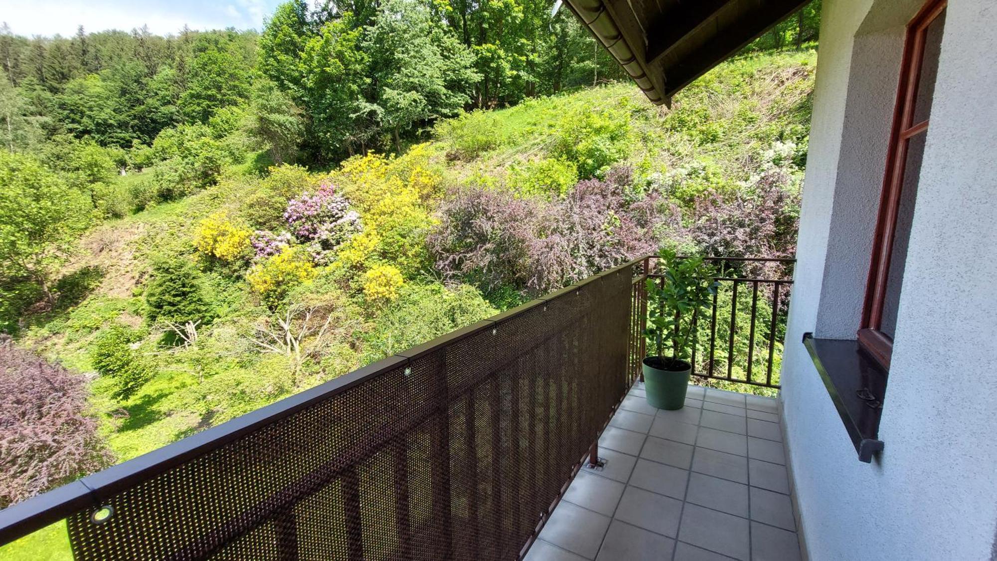Apartament Miedzygorski Мєндзиґуже Екстер'єр фото